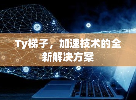 Ty梯子，加速技术的全新解决方案