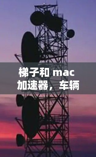 梯子和 mac 加速器，车辆速度调节的不同原理