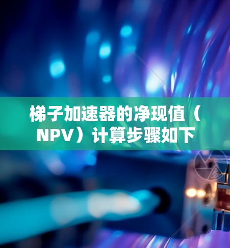 梯子加速器的净现值（NPV）计算步骤如下
