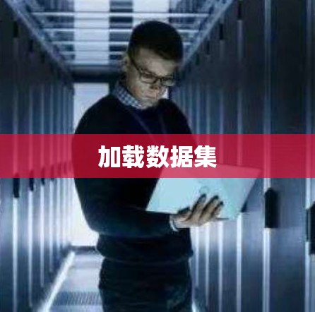 加载数据集