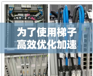 为了使用梯子高效优化加速器，可以按照以下步骤操作