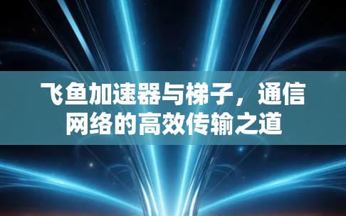 飞鱼加速器与梯子,通信网络的高效传输之道 飞鱼加速器与梯子,通信网络的高效传输之道