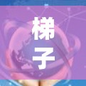 梯子与加速器，技术中的桥梁
