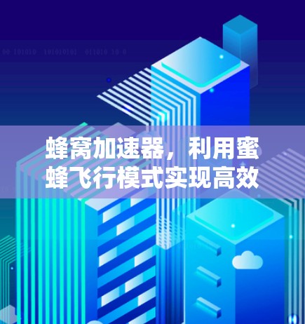 蜂窝加速器，利用蜜蜂飞行模式实现高效能源转换