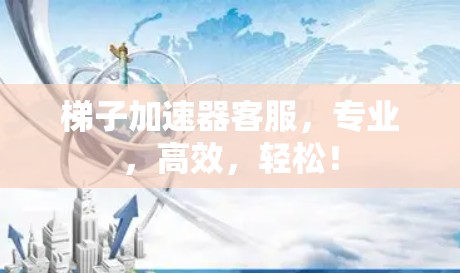 梯子加速器客服，专业，高效，轻松！
