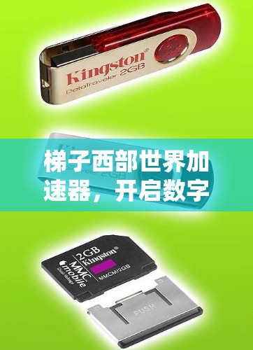 梯子西部世界加速器，开启数字时代的无限可能