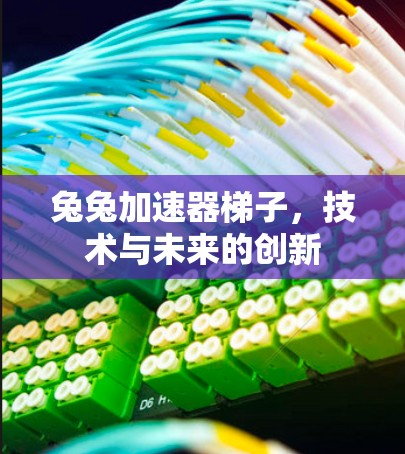 兔兔加速器梯子，技术与未来的创新