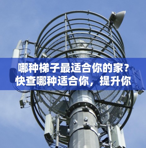 哪种梯子最适合你的家？快查哪种适合你，提升你的工作效率！