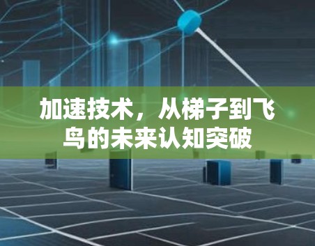 加速技术，从梯子到飞鸟的未来认知突破