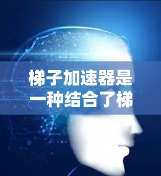 梯子加速器是一种结合了梯子和加速器的概念，用于提高代码生成和测试的效率。以下是其详细解释