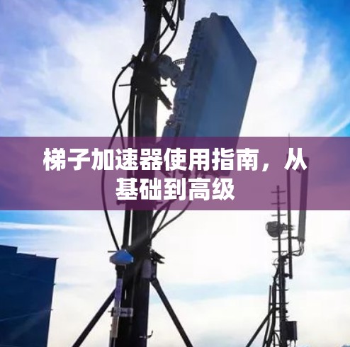 梯子加速器使用指南，从基础到高级