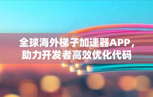 全球海外梯子加速器APP，助力开发者高效优化代码