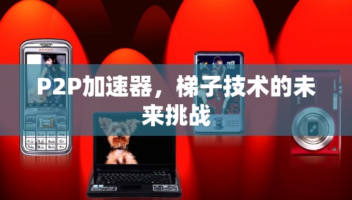 P2P加速器，梯子技术的未来挑战