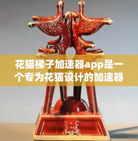 花猫梯子加速器app是一个专为花猫设计的加速器工具，主要帮助用户在花猫梯子上更高效地爬升。以下是对其功能的详细分析