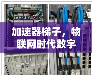 加速器梯子，物联网时代数字空间的连接与共享