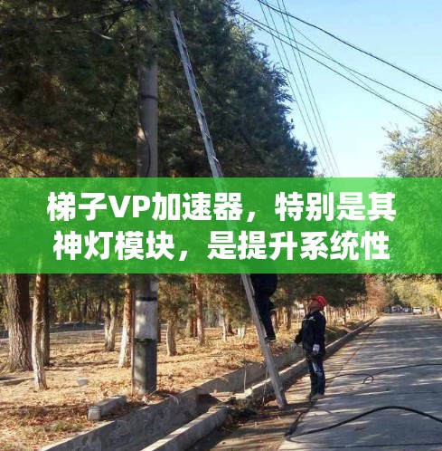 梯子VP加速器，特别是其神灯模块，是提升系统性能的重要工具。以下是对这一主题的总结和深入分析