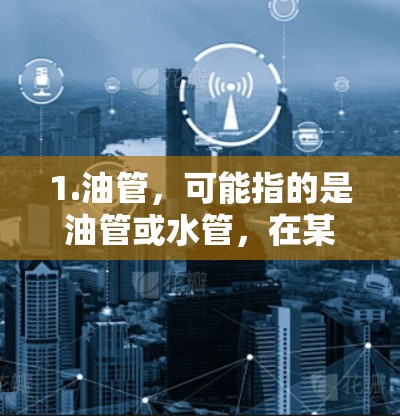 1.油管，可能指的是油管或水管，在某些专业领域中可能有特定的用途，比如在某些工业设备中用于油管的连接或安装