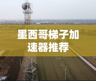墨西哥梯子加速器推荐
