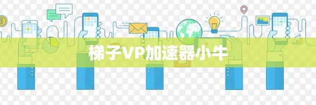 梯子VP加速器小牛
