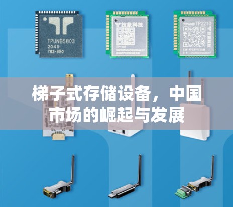梯子式存储设备，中国市场的崛起与发展