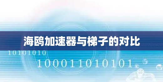 海鸥加速器与梯子的对比