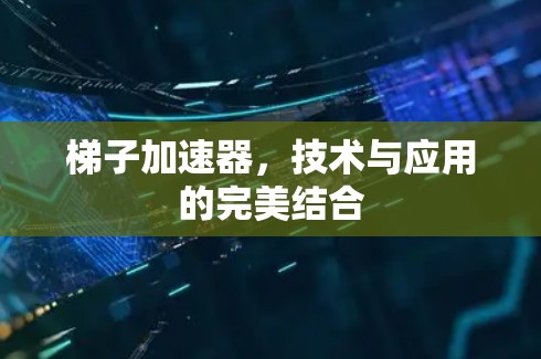 梯子加速器，技术与应用的完美结合
