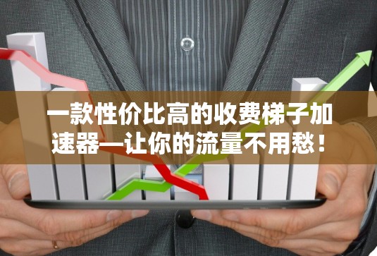 一款性价比高的收费梯子加速器—让你的流量不用愁！