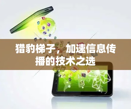 猎豹梯子，加速信息传播的技术之选