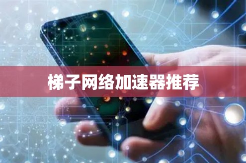 梯子网络加速器推荐