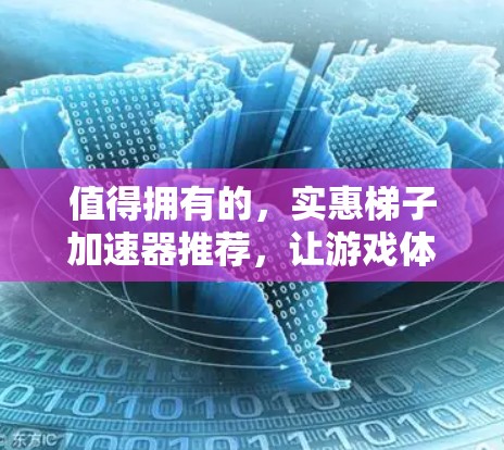 值得拥有的，实惠梯子加速器推荐，让游戏体验更上一层楼