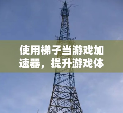 使用梯子当游戏加速器，提升游戏体验的科学方法