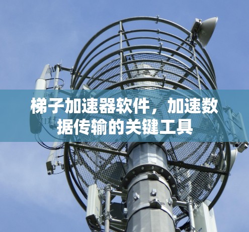 梯子加速器软件，加速数据传输的关键工具