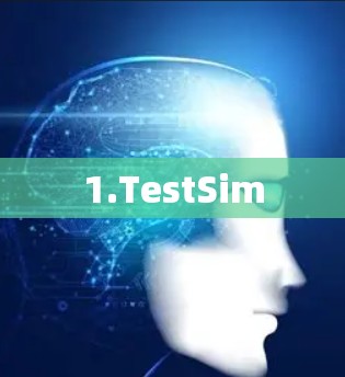 1.TestSim