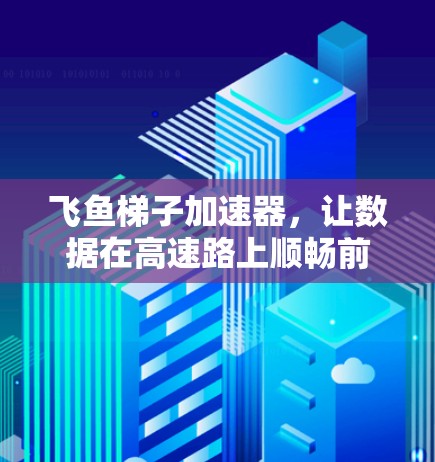 飞鱼梯子加速器，让数据在高速路上顺畅前行！