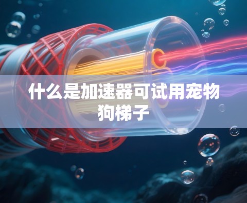 什么是加速器可试用宠物狗梯子