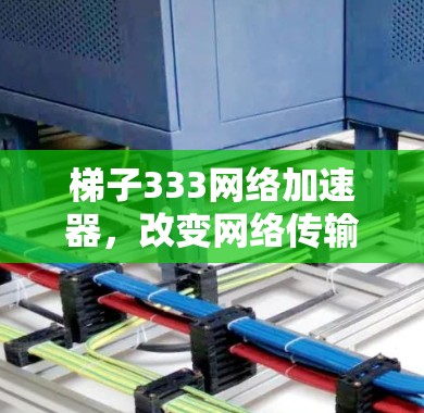 梯子333网络加速器，改变网络传输速度的解决方案