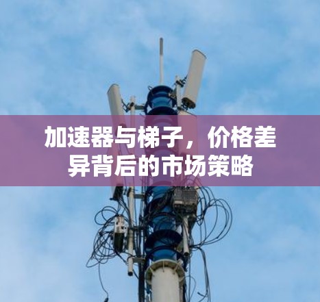 加速器与梯子，价格差异背后的市场策略