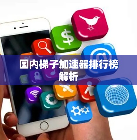 国内梯子加速器排行榜解析