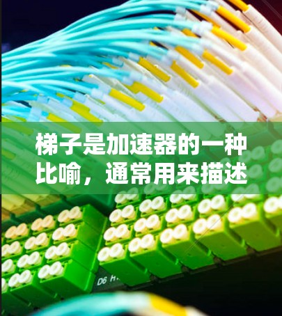 梯子是加速器的一种比喻，通常用来描述一种持续不断的努力或加速的过程。在实际使用中，梯子可能被用来比喻一种持续的努力，而加速器则是用来加速这种努力的结果。以下是对如何将梯子应用到加速器的使用中的总结