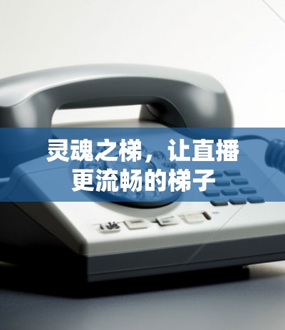 灵魂之梯，让直播更流畅的梯子