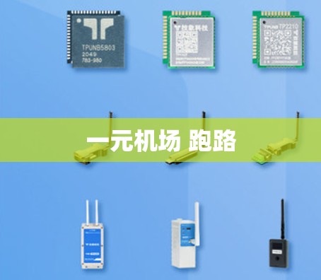 一元机场 跑路