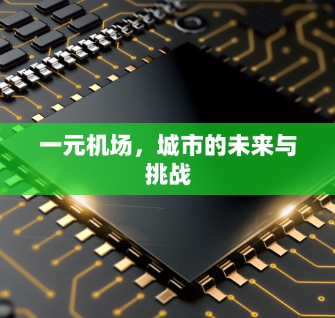 一元机场，城市的未来与挑战