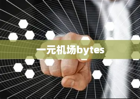 一元机场bytes