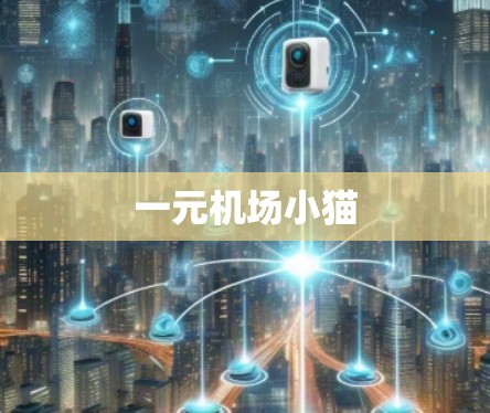 一元机场小猫