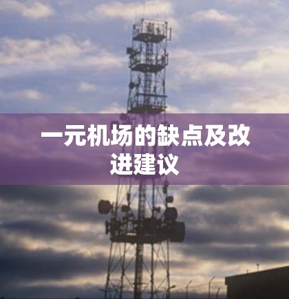 一元机场的缺点及改进建议