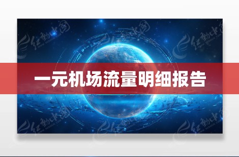 一元机场流量明细报告