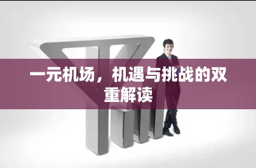 一元机场，机遇与挑战的双重解读