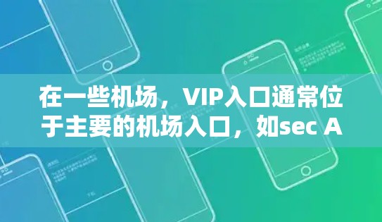 在一些机场，VIP入口通常位于主要的机场入口，如sec Area或Main Entrance。具体位置和操作步骤可能因机场而异，建议您根据机场的实际情况咨询当地机场的工作人员