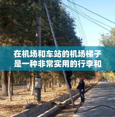 在机场和车站的机场梯子是一种非常实用的行李和购物工具，通常用于携带行李、购物袋、物品等。如果你对机场梯子的性价比非常关注，价格一元（即每公里2元）以下是一些性价比高的机场梯子推荐