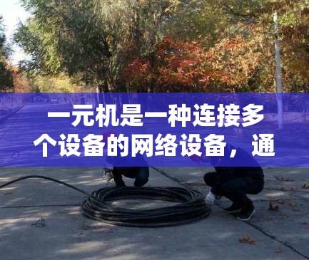 一元机是一种连接多个设备的网络设备，通过以下步骤实现网络连接和管理